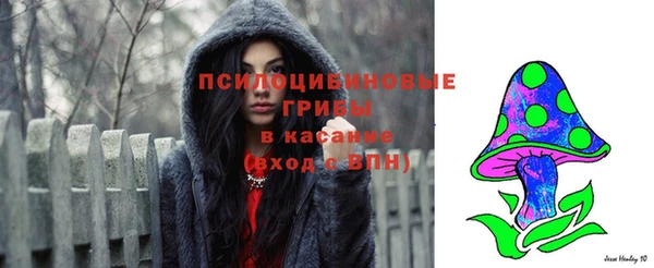 мяу мяу кристалл Богданович