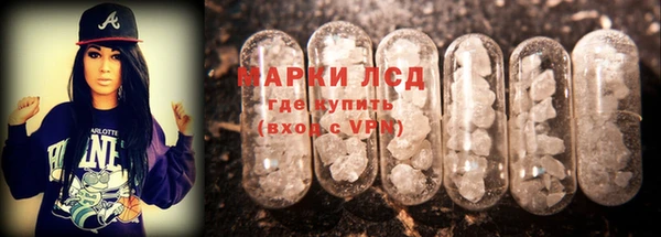 мдпв Богородск