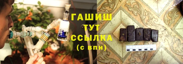 мдпв Богородск